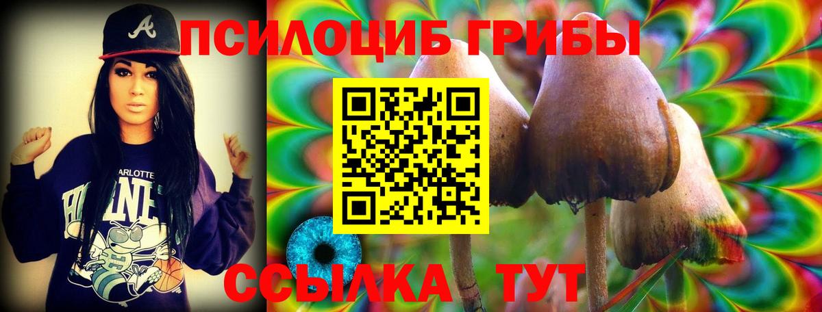 что такое наркотик  Псилоцибиновые грибы Magic Shrooms  Вход с VPN  Златоуст 