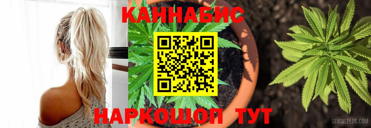 Шишки марихуана план Златоуст
